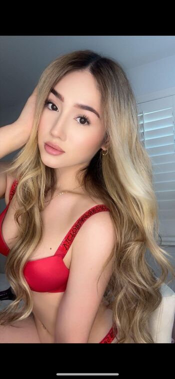 yarxbo